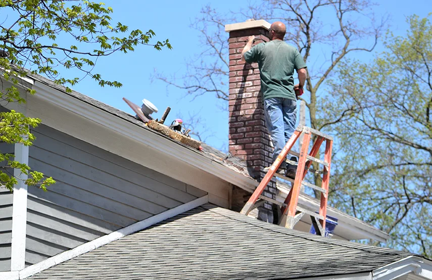 Chimney & Fireplace Inspections Services in Cottage Lake, WA